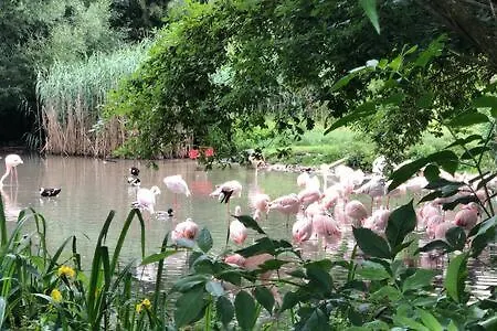 Stadtnähe und doch mitten in der Natur